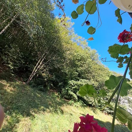 Garsoniera Flori - Sinaia Apartment ภายนอก รูปภาพ
