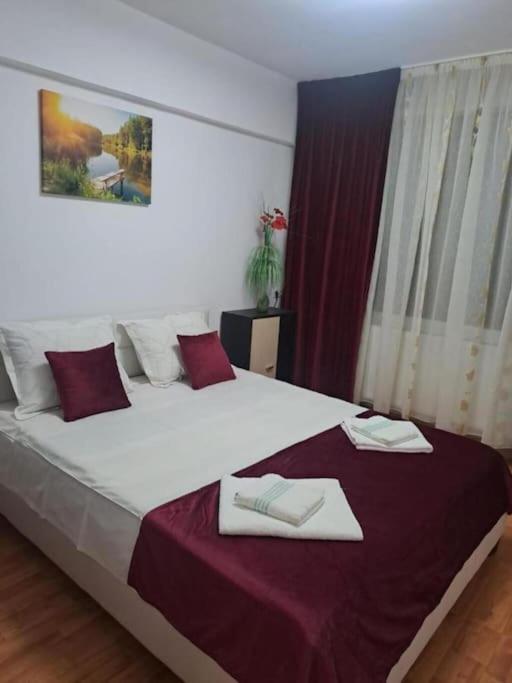 Garsoniera Flori - Sinaia Apartment ภายนอก รูปภาพ