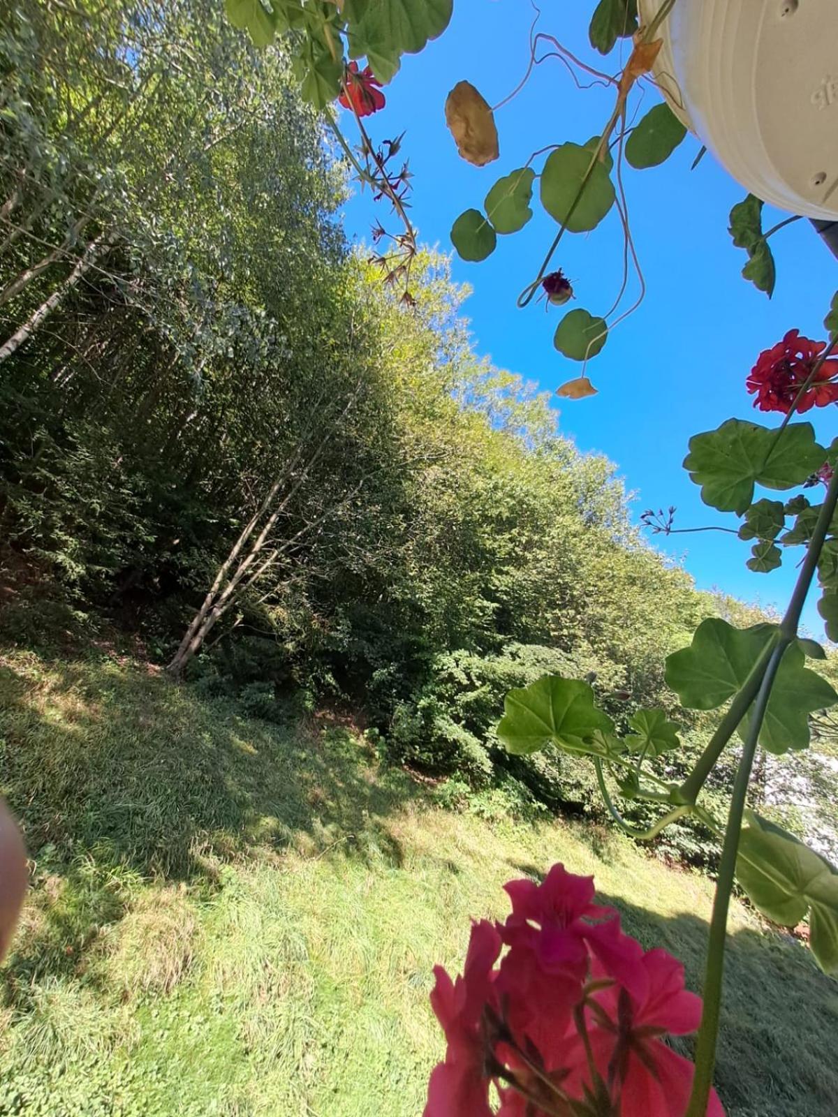 Garsoniera Flori - Sinaia Apartment ภายนอก รูปภาพ