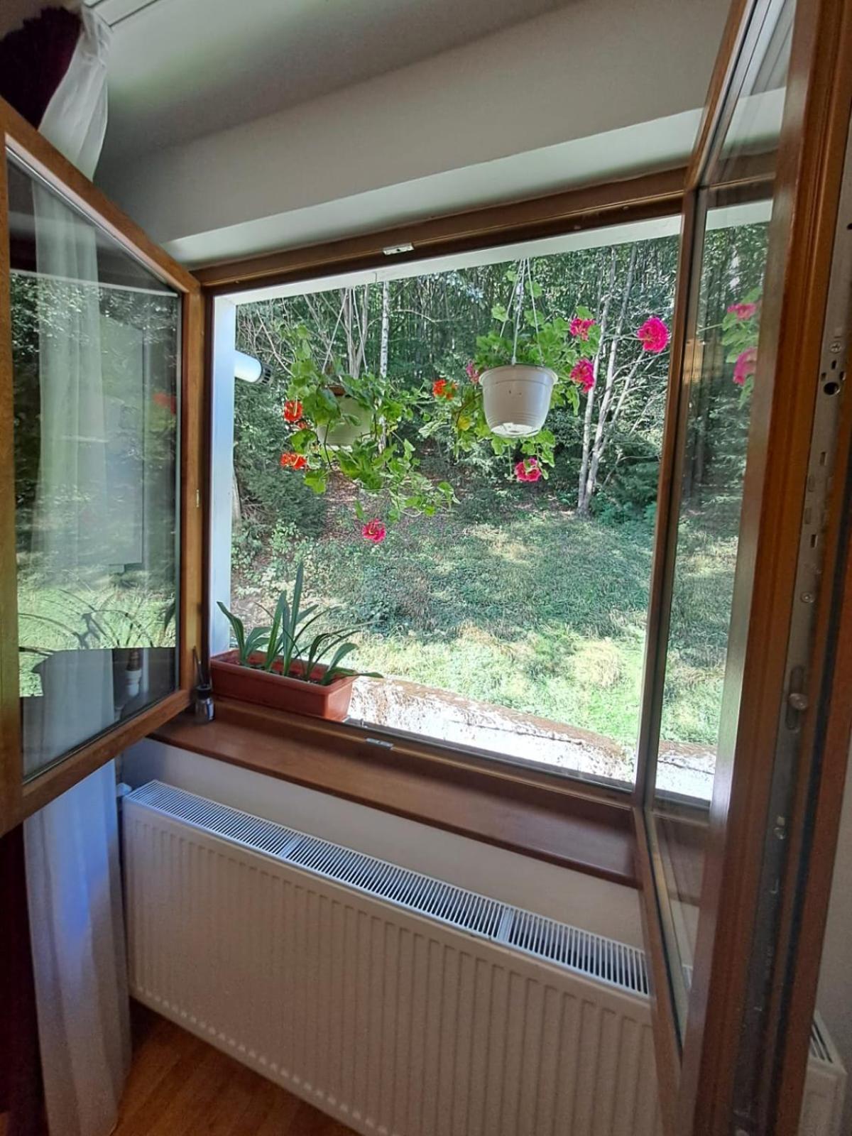 Garsoniera Flori - Sinaia Apartment ภายนอก รูปภาพ