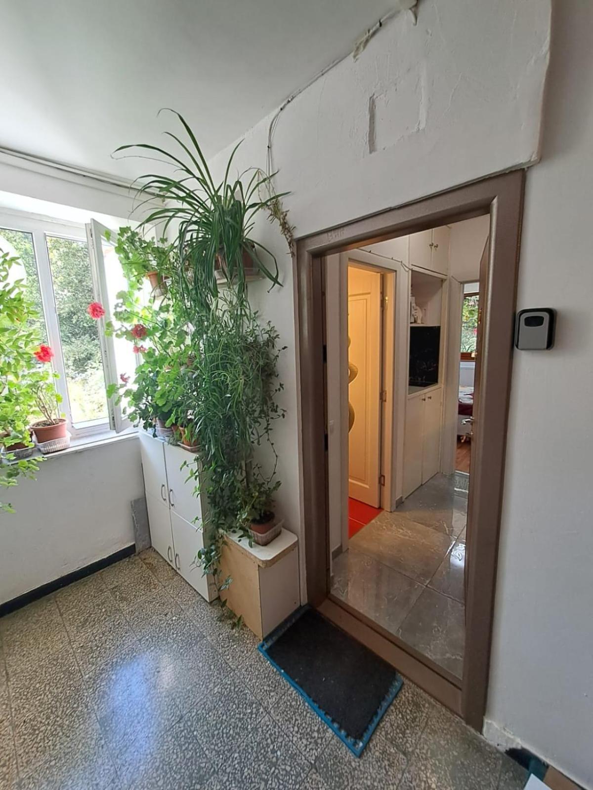Garsoniera Flori - Sinaia Apartment ภายนอก รูปภาพ